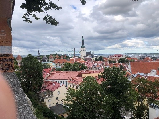 Intern diary: City of Tallinn